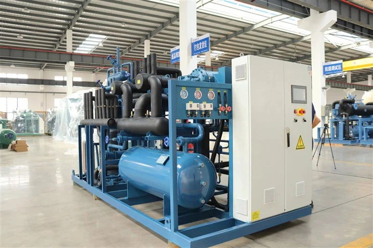 Low Temperature Condensing Unit With Frascold Screw Compressors